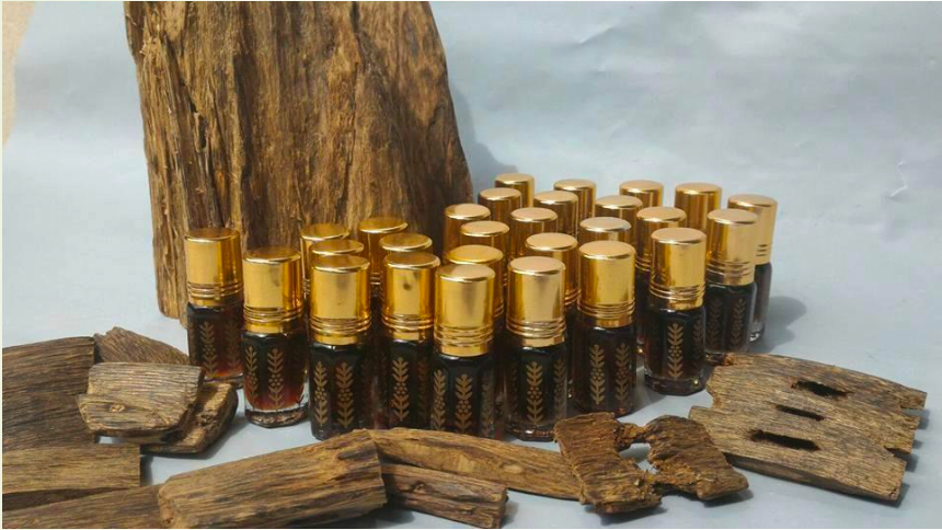 Aetoxylon Oil