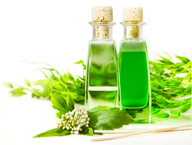 Cajuput Oil