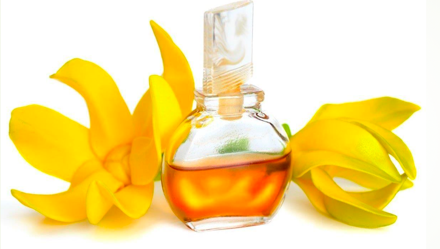 Cananga Oil