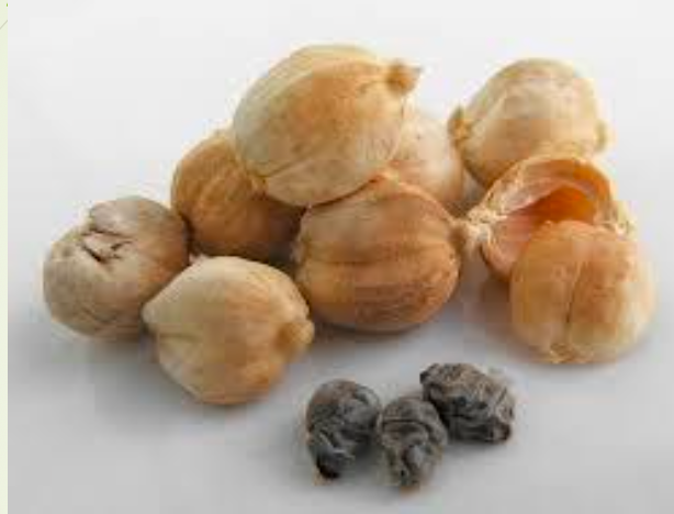 White Cardamom Oil