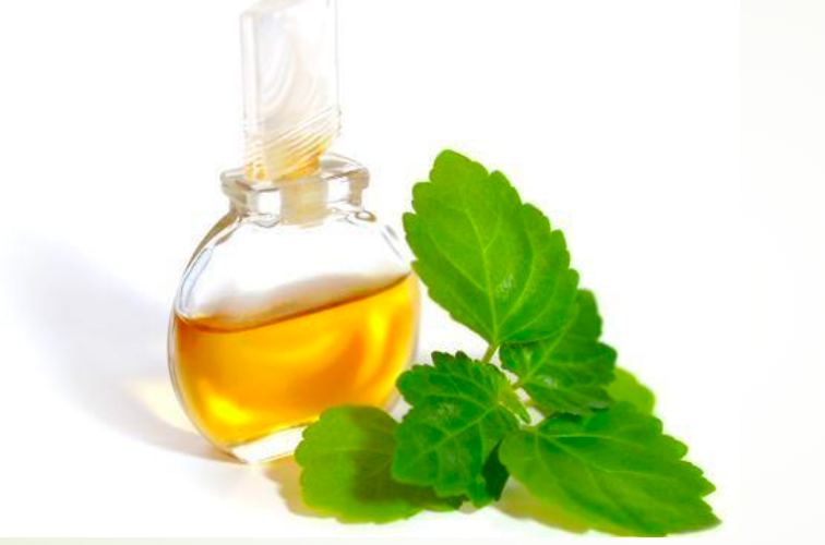 Patchouli Oil